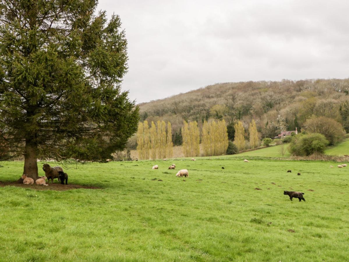 Orchard Cottage Ledbury Bagian luar foto